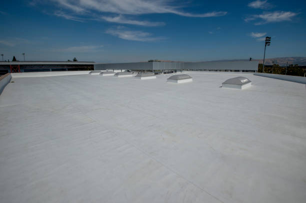 Best Roof Coating and Sealing  in Caledonia, WI